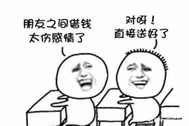 临西专业讨债公司有哪些核心服务？